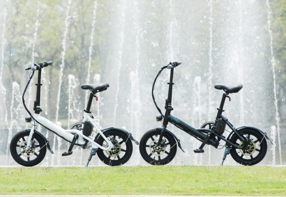 FIIDO D1 VS FIIDO D2: What's the Difference?