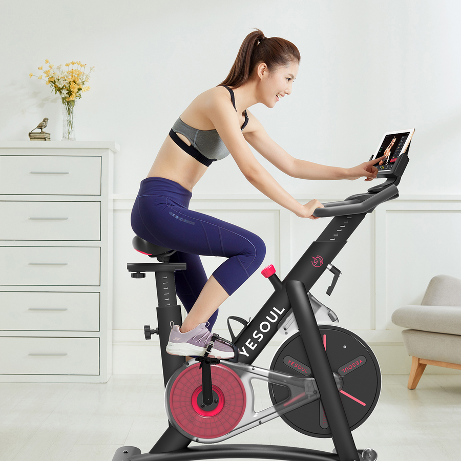YESOUL S3 exercise bike for home use - Poland Warehouse