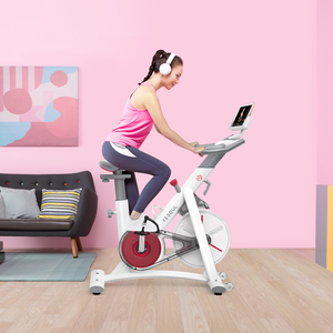 YESOUL S3 exercise bike for home use - Poland Warehouse